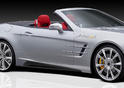 JMS Piecha Mercedes SL Avalange GT R 3