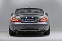 Lorinser 2011 Mercedes CLS C218 5