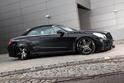 MEC Design Mercedes E Class Cerberus 19