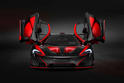 MSO McLaren P1 Sin 4