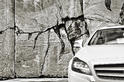 Mercedes CLS Shooting Brake 48