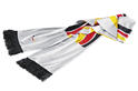 Mercedes Euro 2008 Collection 1