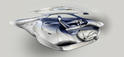 Mercedes F125 25