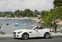 Mercedes SLK 250 CDI 14