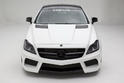 Misha Designs 2011 Mercedes CLS 5