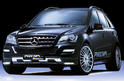 Piecha Mercedes ML 7