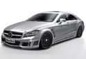Wald 2011 Mercedes CLS 1