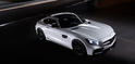 Wald Mercedes AMG GT 4