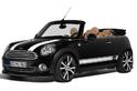 AC Schnitzer MINI Cooper Cabrio 14