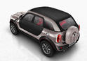 MINI Beachcomber 17
