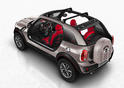 MINI Beachcomber 19