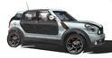 MINI Beachcomber 27
