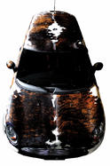 pet MINI 2