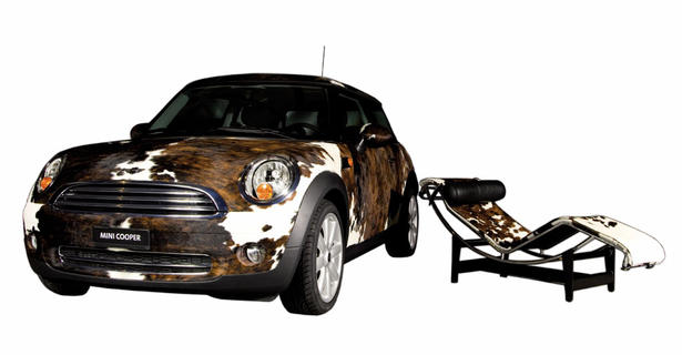 The pet MINI Cooper