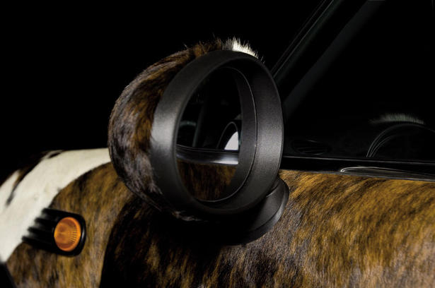 The pet MINI Cooper