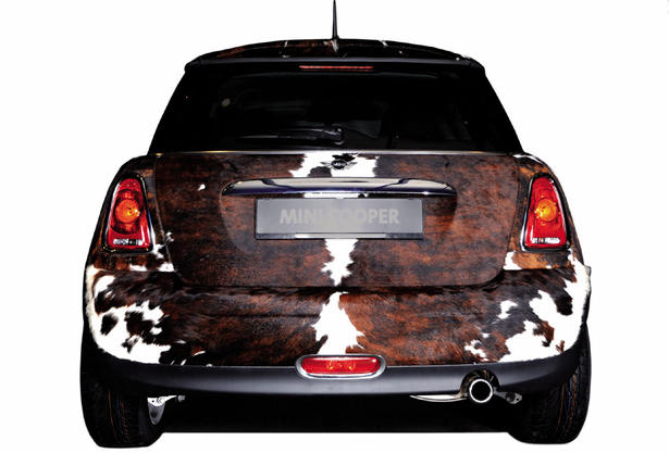 The pet MINI Cooper