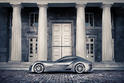 Felino cB7 16