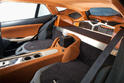 Fisker Surf 14