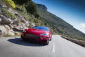 Larte Tesla Model S Elizabeta 13
