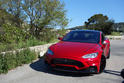 Larte Tesla Model S Elizabeta 5