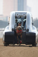 Roush Race Horse Training Car 7