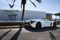 Shayton Equilibrium 20