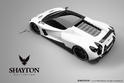 Shayton Equilibrium 6