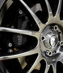 Spartan V 11