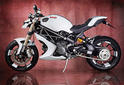 Vilner Ducati Monster 1100 Evo Bulgari 2