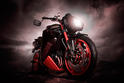 Vilner Triumph Speed Triple Bulldog 10