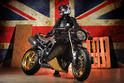 Vilner Triumph Speed Triple Bulldog 13