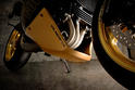 Vilner Triumph Speed Triple Bulldog 20