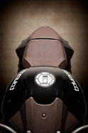 Vilner Triumph Speed Triple Bulldog 21