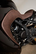 Vilner Triumph Speed Triple Bulldog 22