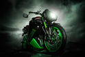 Vilner Triumph Speed Triple Bulldog 4