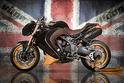 Vilner Triumph Speed Triple Bulldog 5