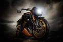 Vilner Triumph Speed Triple Bulldog 6