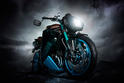 Vilner Triumph Speed Triple Bulldog 7