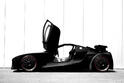 WEBER faster one 5
