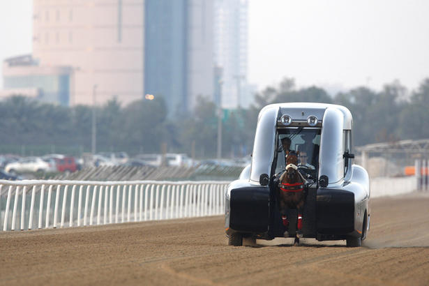 Roush Race Horse Training Car