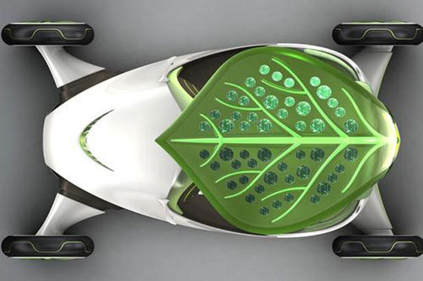 SAIC Leaf