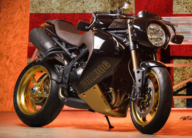 Vilner Triumph Speed Triple Bulldog