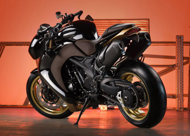 Vilner Triumph Speed Triple Bulldog