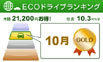 Nissan CARWINGS Eco Drive
