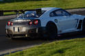 2013 Nissan GT R Nismo GT3 5