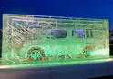 Nissan Cube Ice Tattoo 8