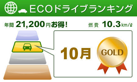 Nissan CARWINGS Eco Drive
