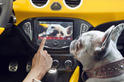 Opel Adam 16