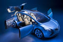 Opel Flextreme 16