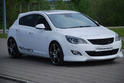 Steinmetz 2010 Opel Astra 5